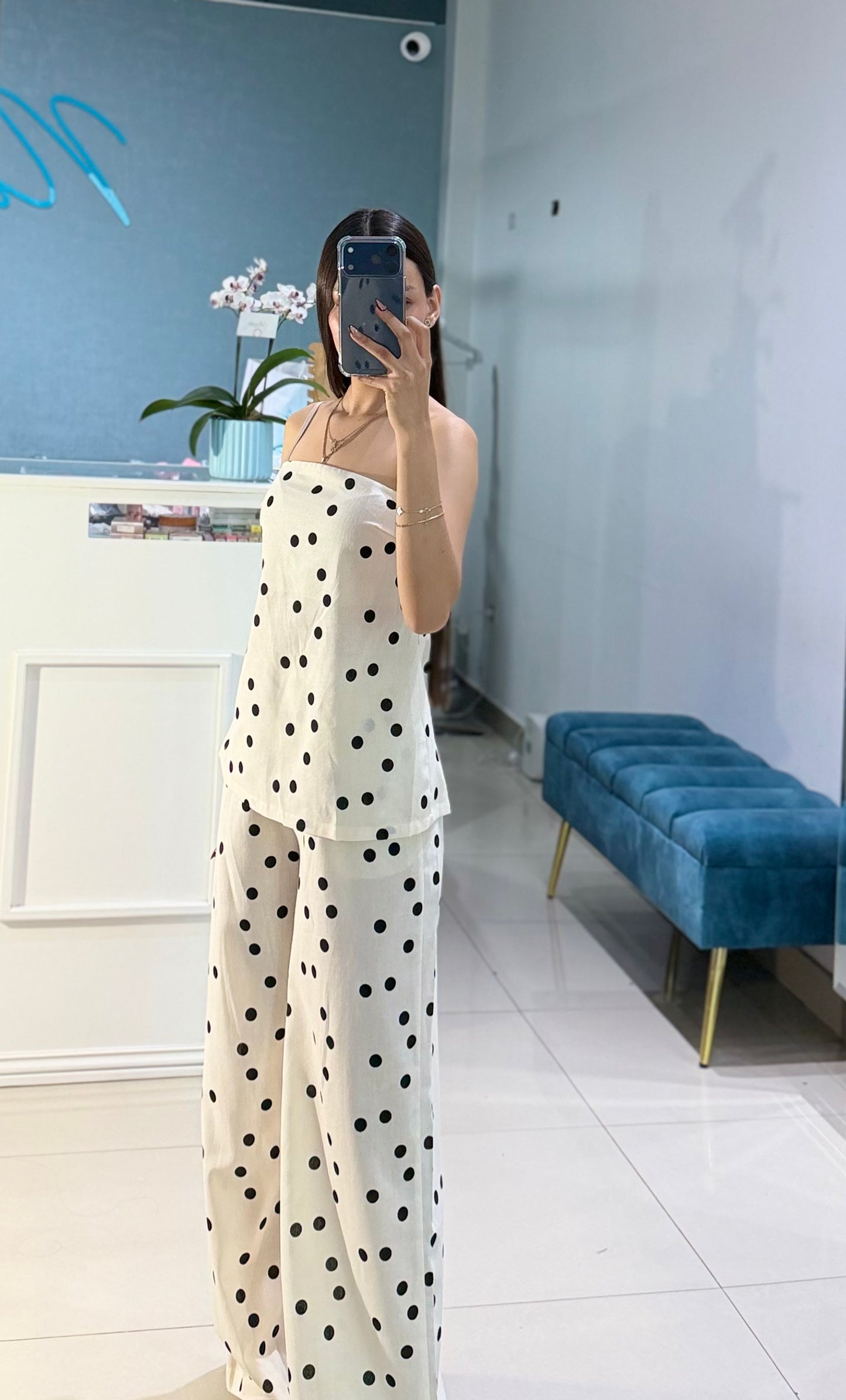 Conjunto Leslie