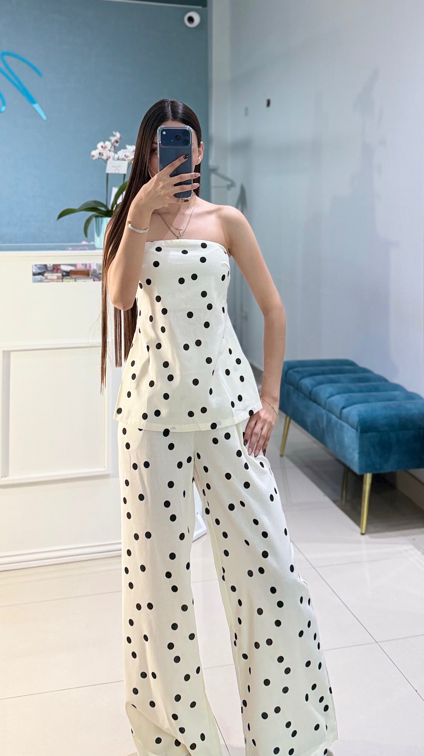 Conjunto Leslie